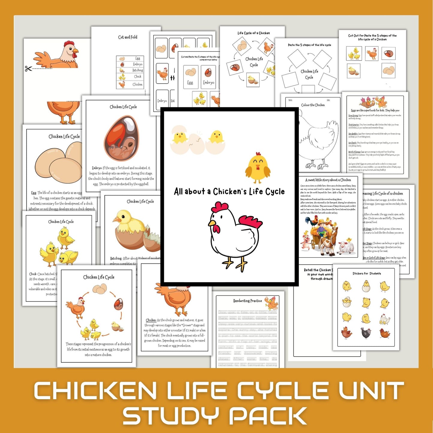 Chicken Unit Study for Homeschool – Life Cycle, Anatomy & Chick Activities | Nature Science Summer Learning Bundle