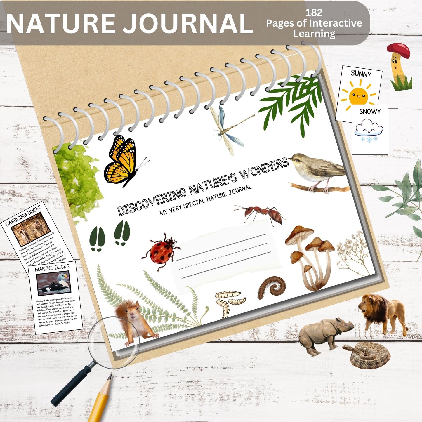 Nature Journal Mega Bundle Homeschool Learning Materials Charlotte Mason Nature Study Preschool Curriculum Toddler Busy Book Montessori