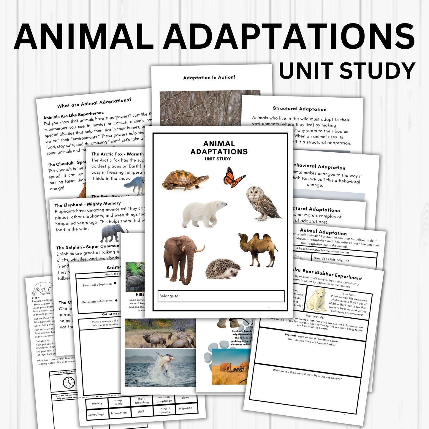 Animal Adaptation Unit Study - Printable Homeschool Learning Bundle | Nature Study Curriculum for Preschool & Early Learners | Science Educational Activities