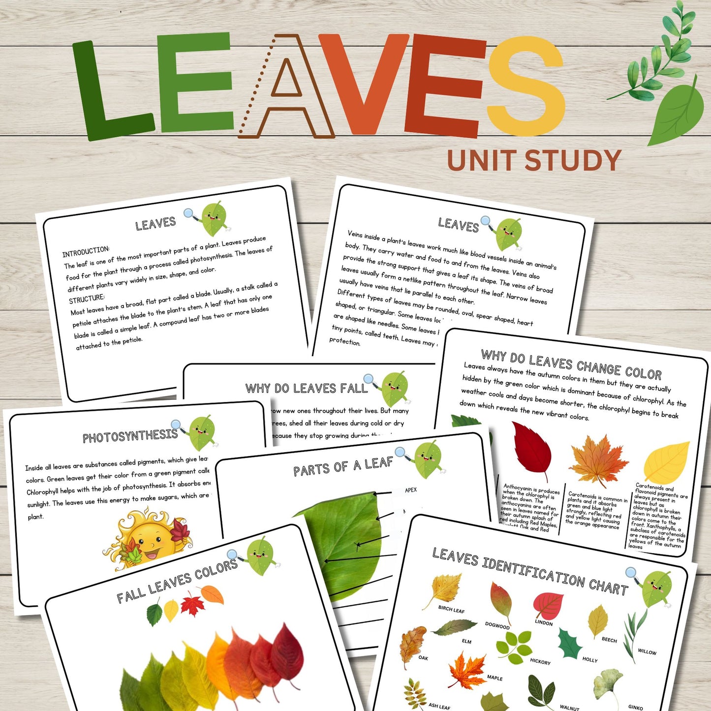 Leaves Unit Study Bundle Anatomy of a Leaf Charlotte Mason Nature Study Learning Activities for Preschool Fall Leaves Educational Materials