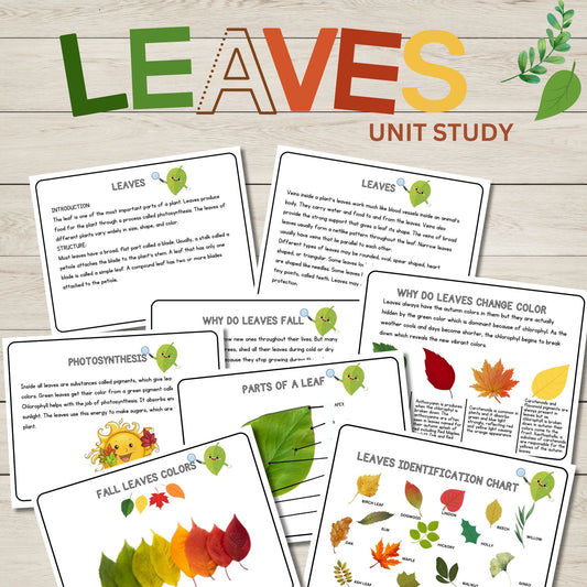 Leaves Unit Study Bundle Anatomy of a Leaf Charlotte Mason Nature Study Learning Activities for Preschool Fall Leaves Educational Materials