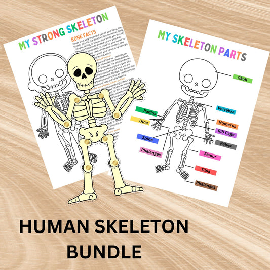 Human Skeleton Anatomy Busy Book Skeleton Study Printable Kids Learning Activity Moving Skeleton Parts Worksheet Homeschool Resource Kids