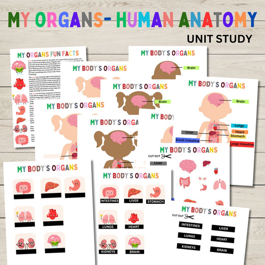 Body Organs Unit Study for Kids | Human Anatomy Lesson with Labeling and Organ Cards
