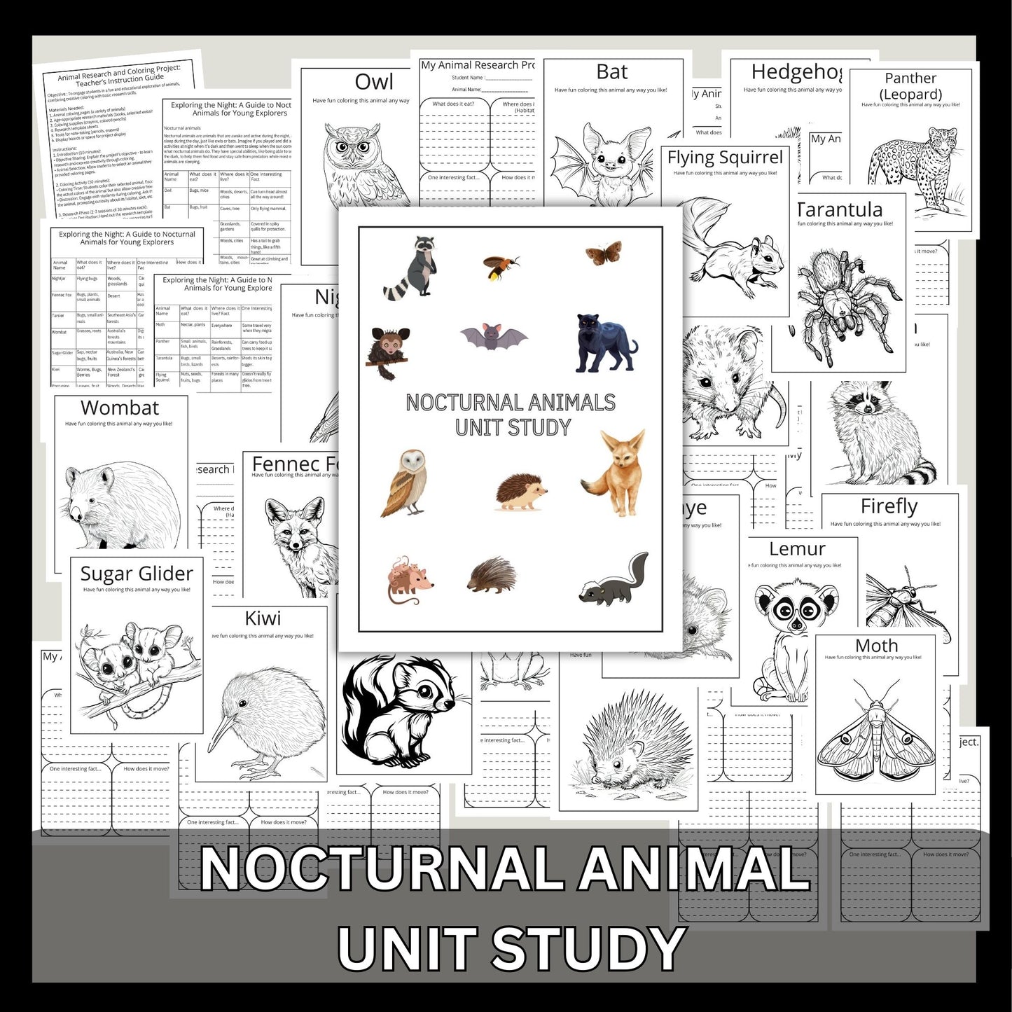 Nocturnal Animals Unit Study Printable Bundle Early Reader Animal Research Montessori Nature Study Animals Coloring 1st Grade 2nd Grade