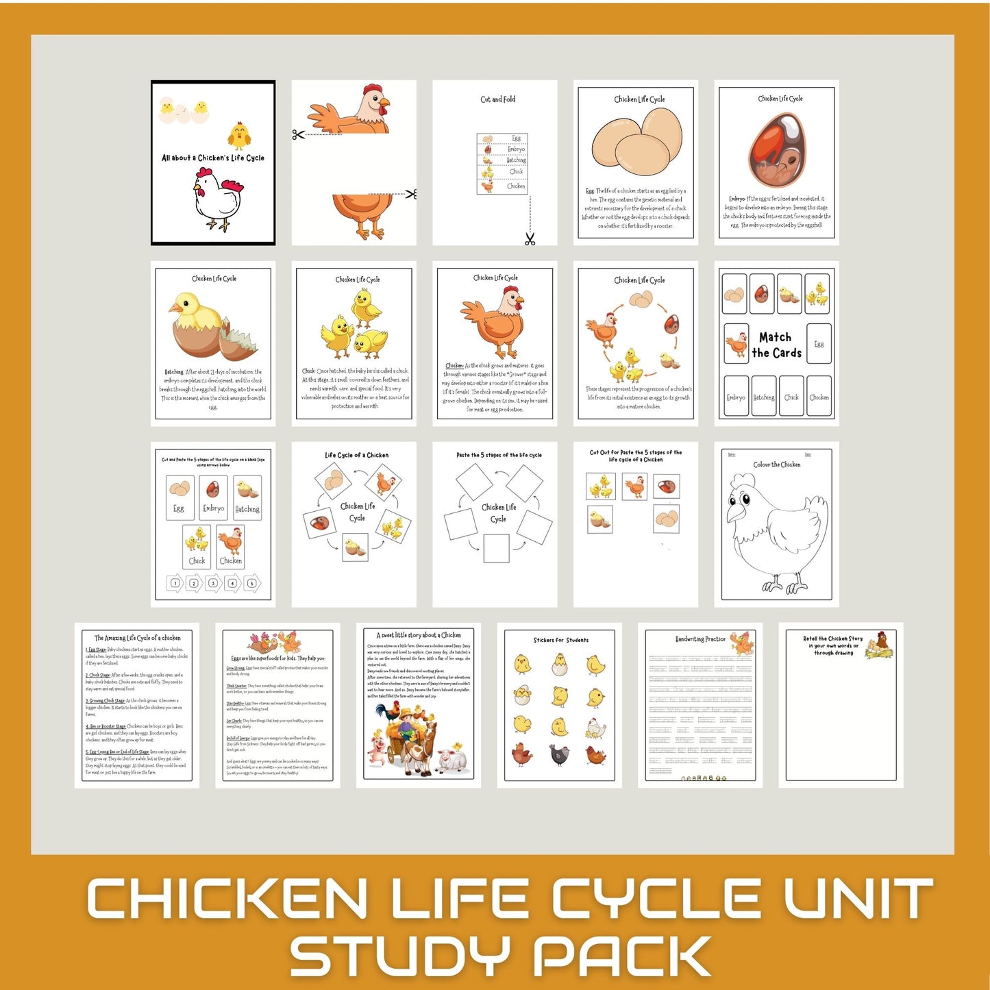 Chicken Unit Study for Homeschool – Life Cycle, Anatomy & Chick Activities | Nature Science Summer Learning Bundle