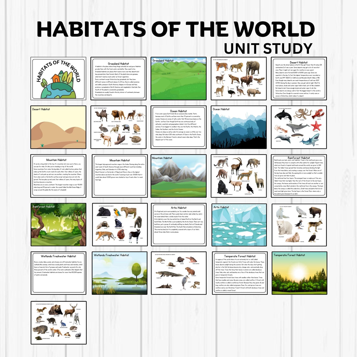 Habitats Unit Study Printable Resources Homeschool Learning Bundle Nature Studies Preschool Curriculum Educational Activities Science Unit