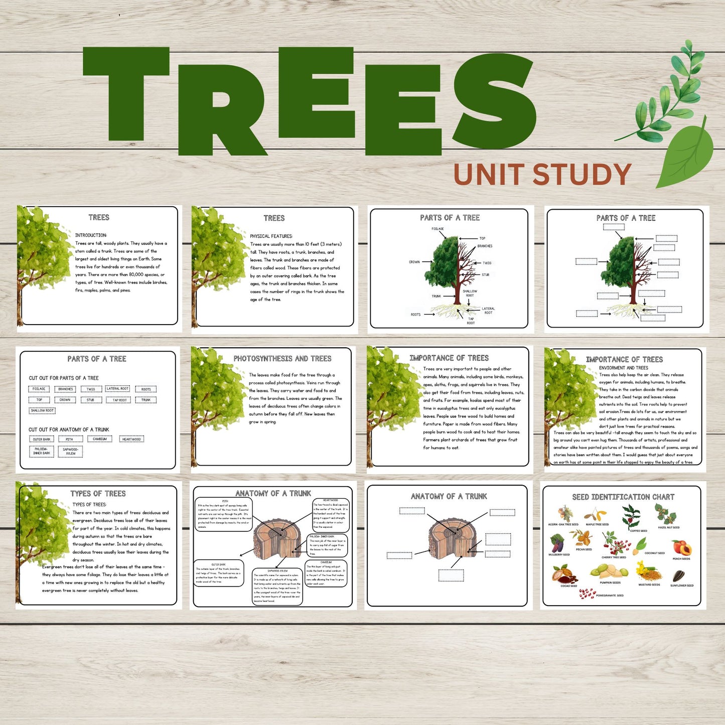 Tree Unit Study Bundle | Charlotte Mason Nature Study | Anatomy of a Tree Trunk & Parts of a Tree | Homeschool Learning Activities Printable