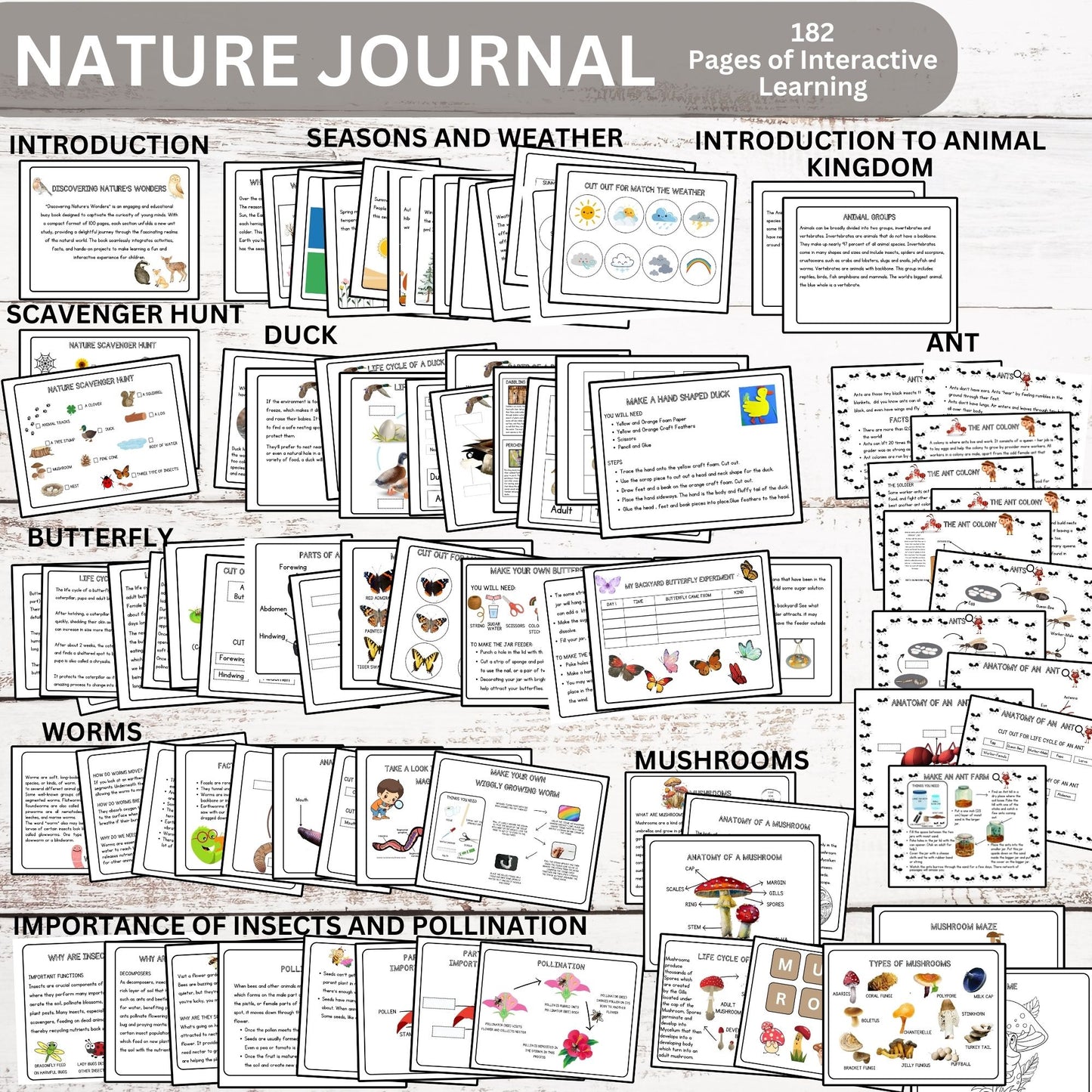 Nature Journal Mega Bundle Homeschool Learning Materials Charlotte Mason Nature Study Preschool Curriculum Toddler Busy Book Montessori
