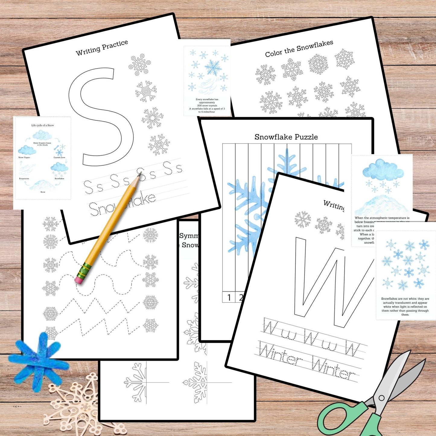 Snow Unit Study Snowflakes Printable Resources Homeschool Learning Bundle Winter Kids Activity Life Cycle of Snow Preschool Curriculum kids