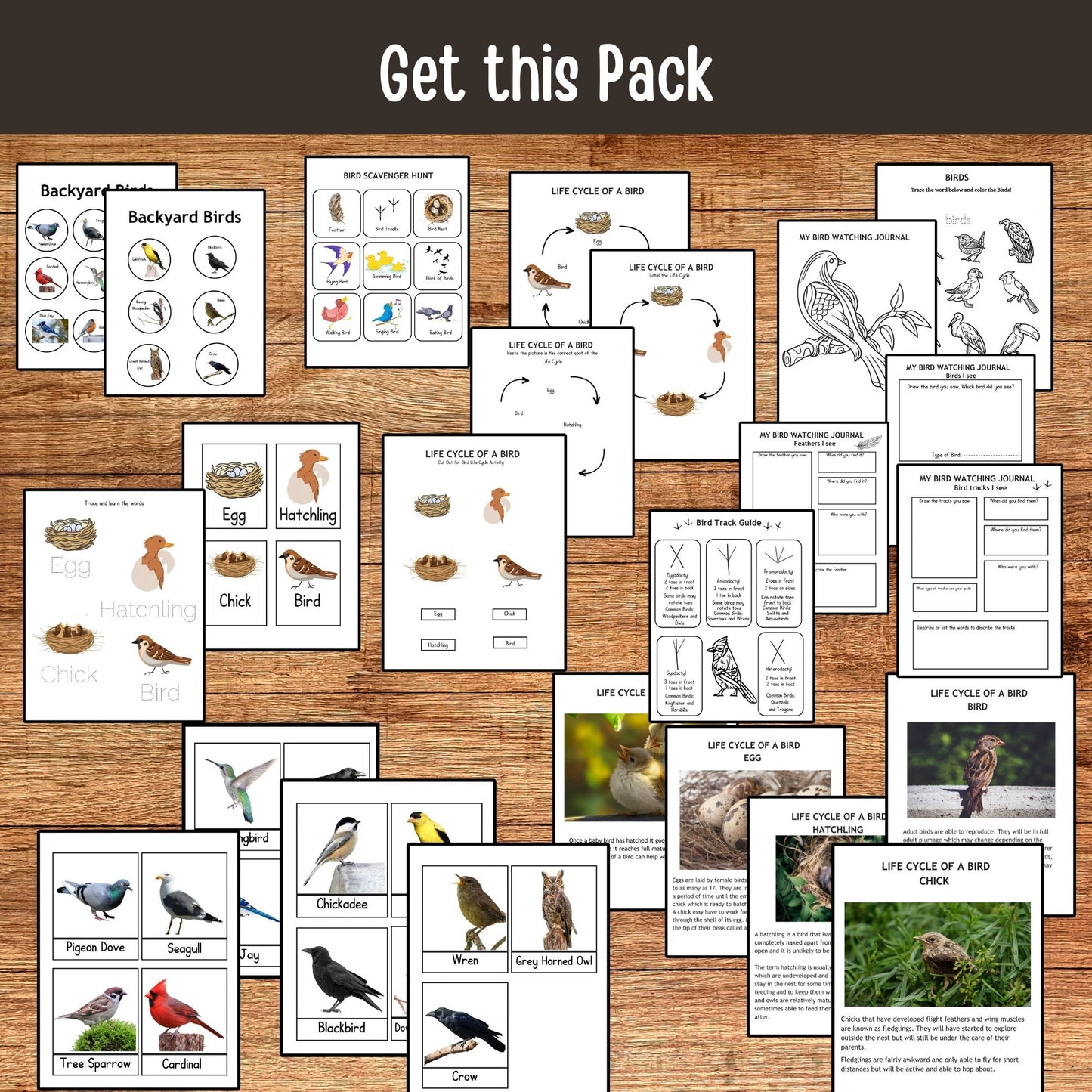 Printable Backyard Birds Unit Study Bird Watching Journal Kids Printable Homeschool Learning Toddler Busy Book Preschool Curriculum kids
