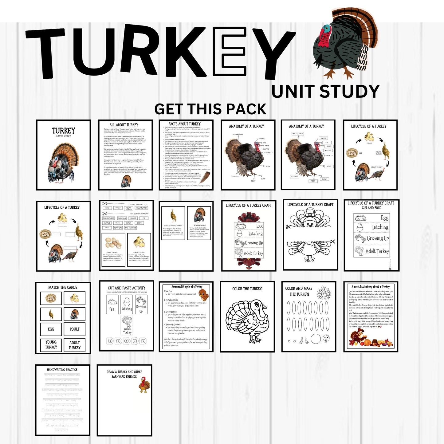 4-in-1 Animal Unit Study Bundle | Badger, Turkey, Duck & Red Fox Science Activities | Homeschool Nature Study Printables for Kids