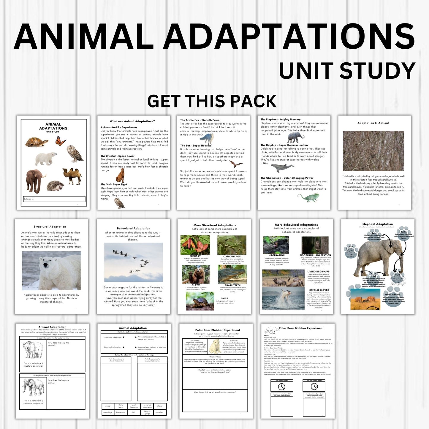Animal Adaptation Unit Study - Printable Homeschool Learning Bundle | Nature Study Curriculum for Preschool & Early Learners | Science Educational Activities