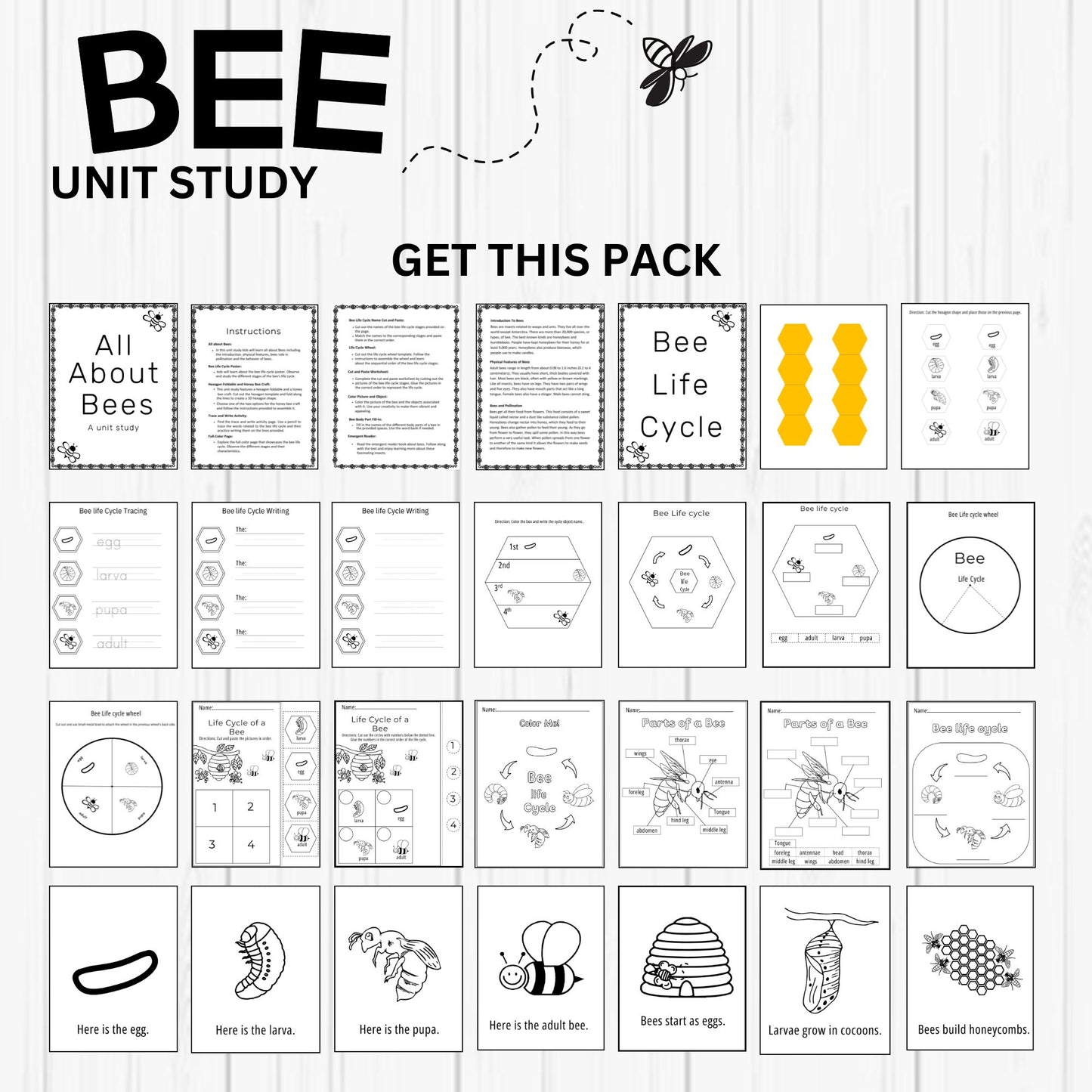 Insect and Pollination Unit Study Bundle – Butterfly, Bee, Ladybug, Flower Worksheets for Kids