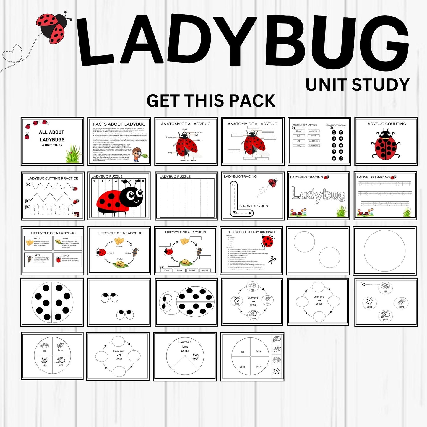 Ladybug Unit Study Homeschool Spring Printables Charlotte Mason kids Nature Study Anatomy of a Ladybug Life Cycle Ladybird Study Pack