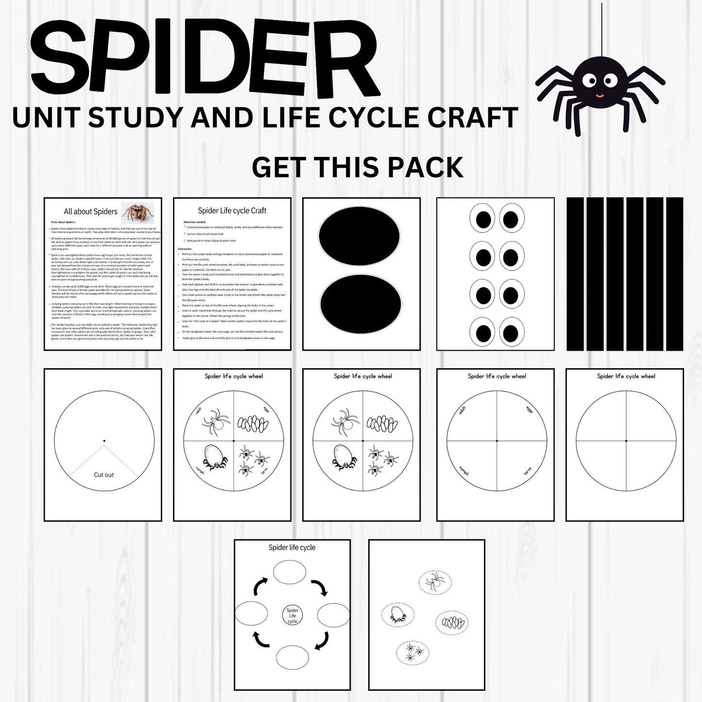 Printable Spider Unit Study for Kids – Life Cycle Worksheets, Craft, and Halloween Homeschool Science Activity