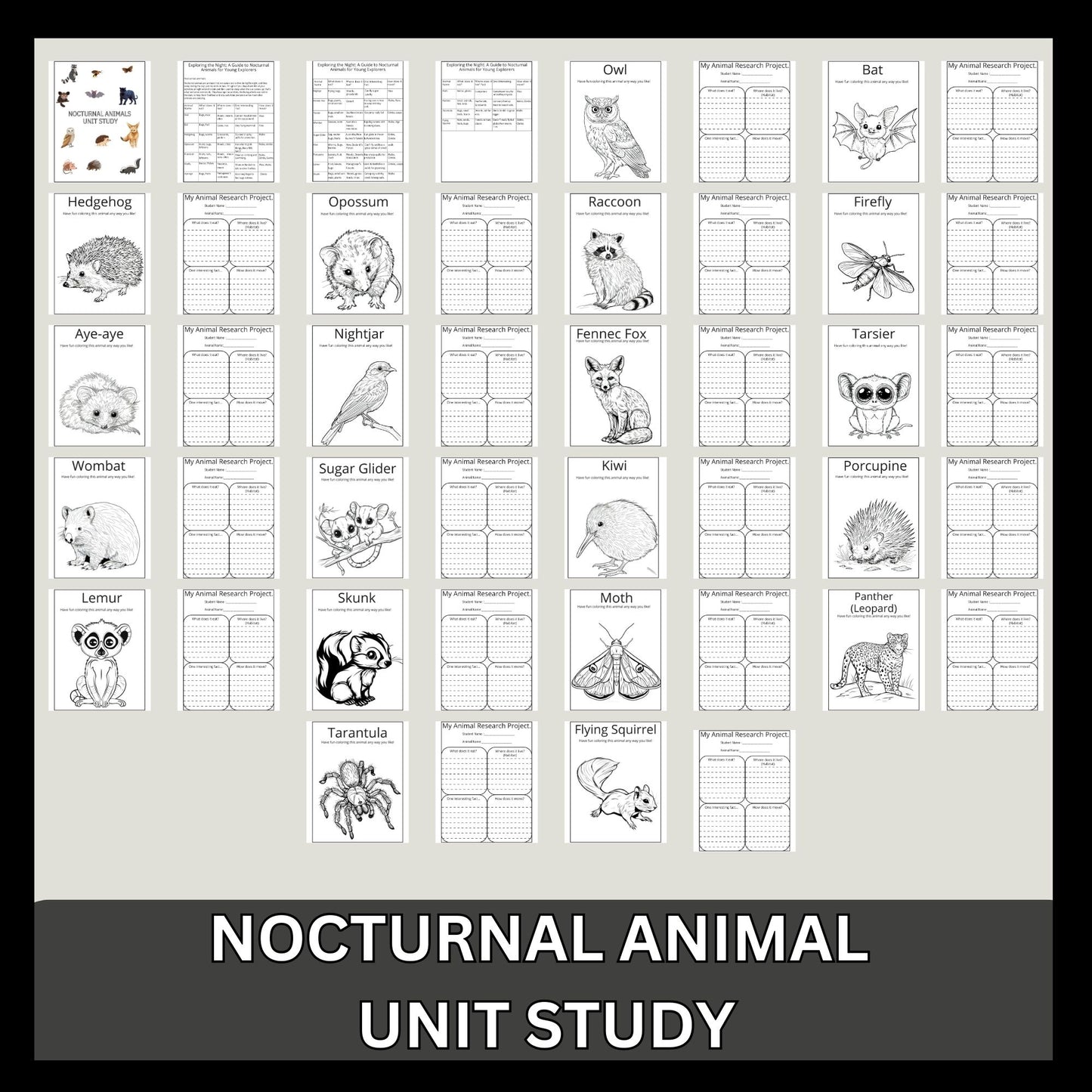 Nocturnal Animals Unit Study Printable Bundle Early Reader Animal Research Montessori Nature Study Animals Coloring 1st Grade 2nd Grade