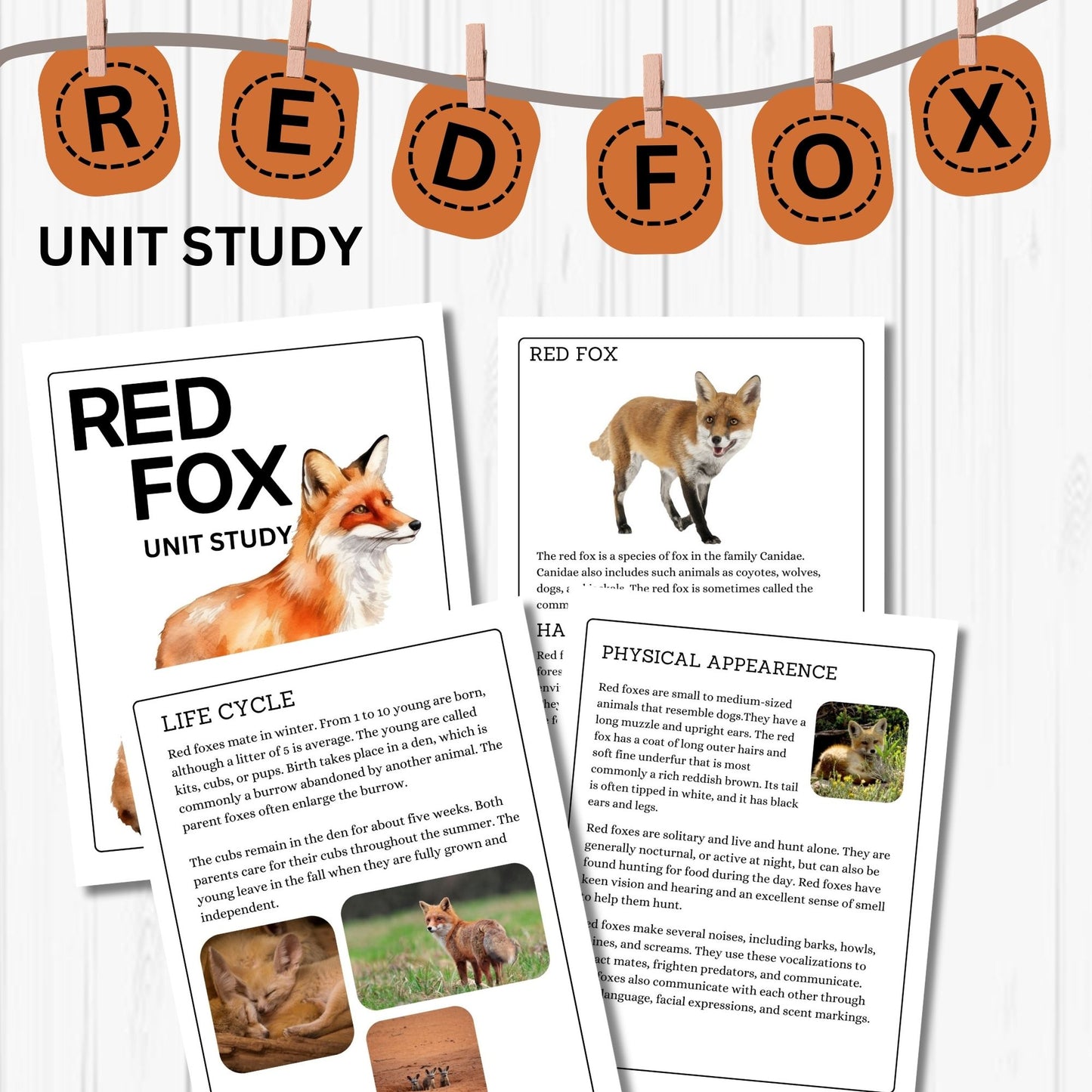 Red Fox Unit Study Kids Homeschool Fall Activities Red Fox Anatomy & Life Cycle Red Fox Poster and Flash Cards Nature Study Journal