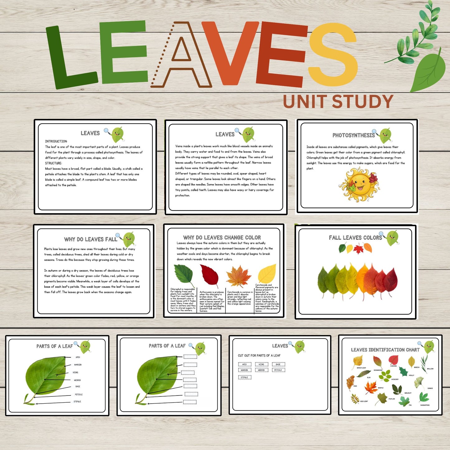 Leaves Unit Study Bundle Anatomy of a Leaf Charlotte Mason Nature Study Learning Activities for Preschool Fall Leaves Educational Materials