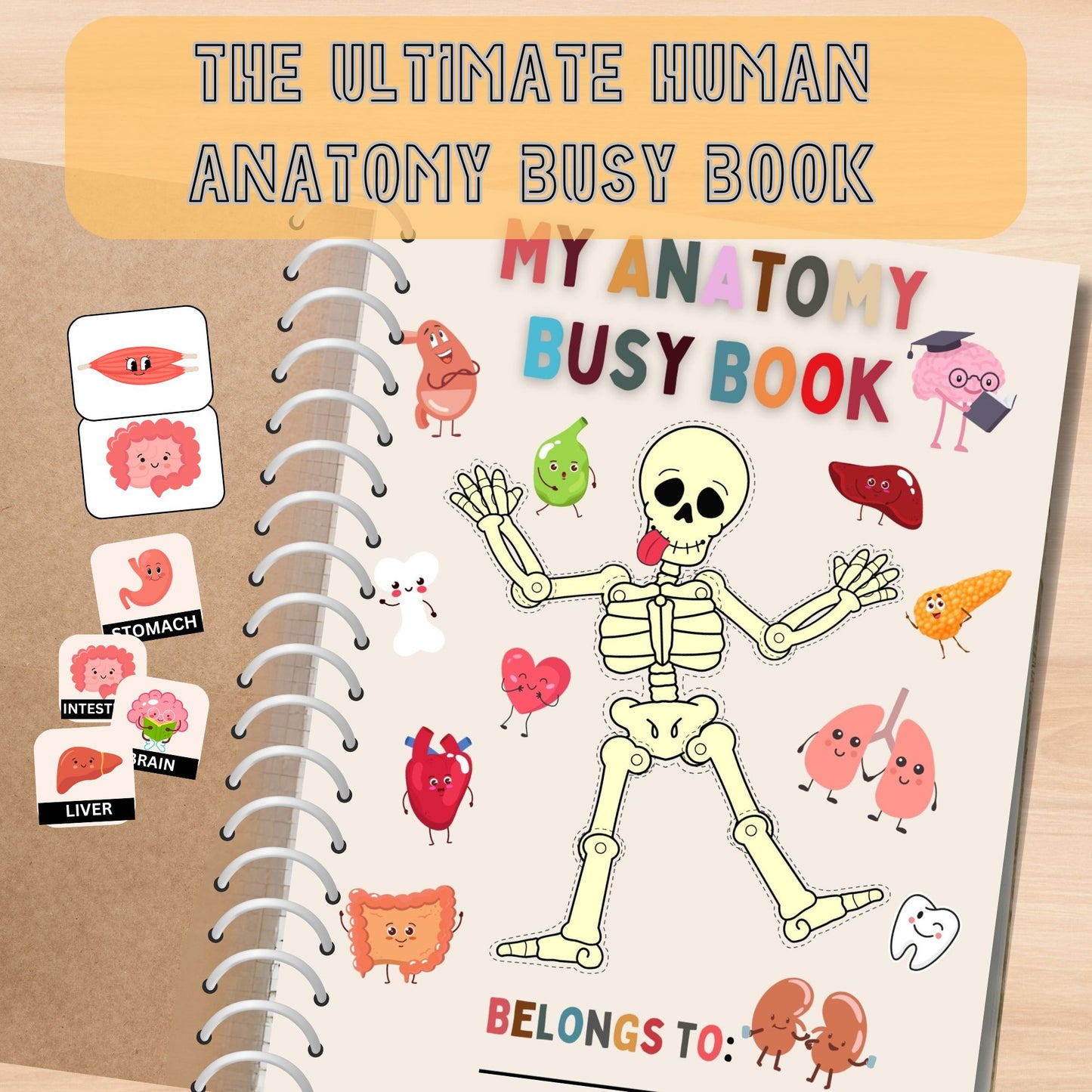 Human Anatomy Busy Book Printable Kids Learning Binder Homeschool Resources Kids Worksheets Anatomy Curriculum Learning Kids Montessori