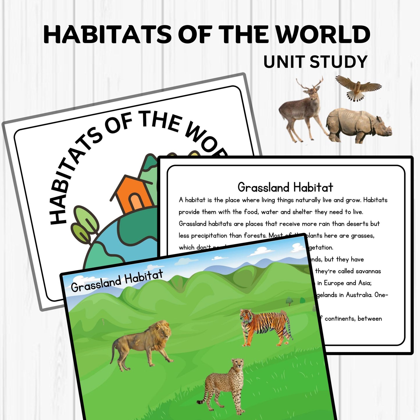 Habitats Unit Study Printable Resources Homeschool Learning Bundle Nature Studies Preschool Curriculum Educational Activities Science Unit
