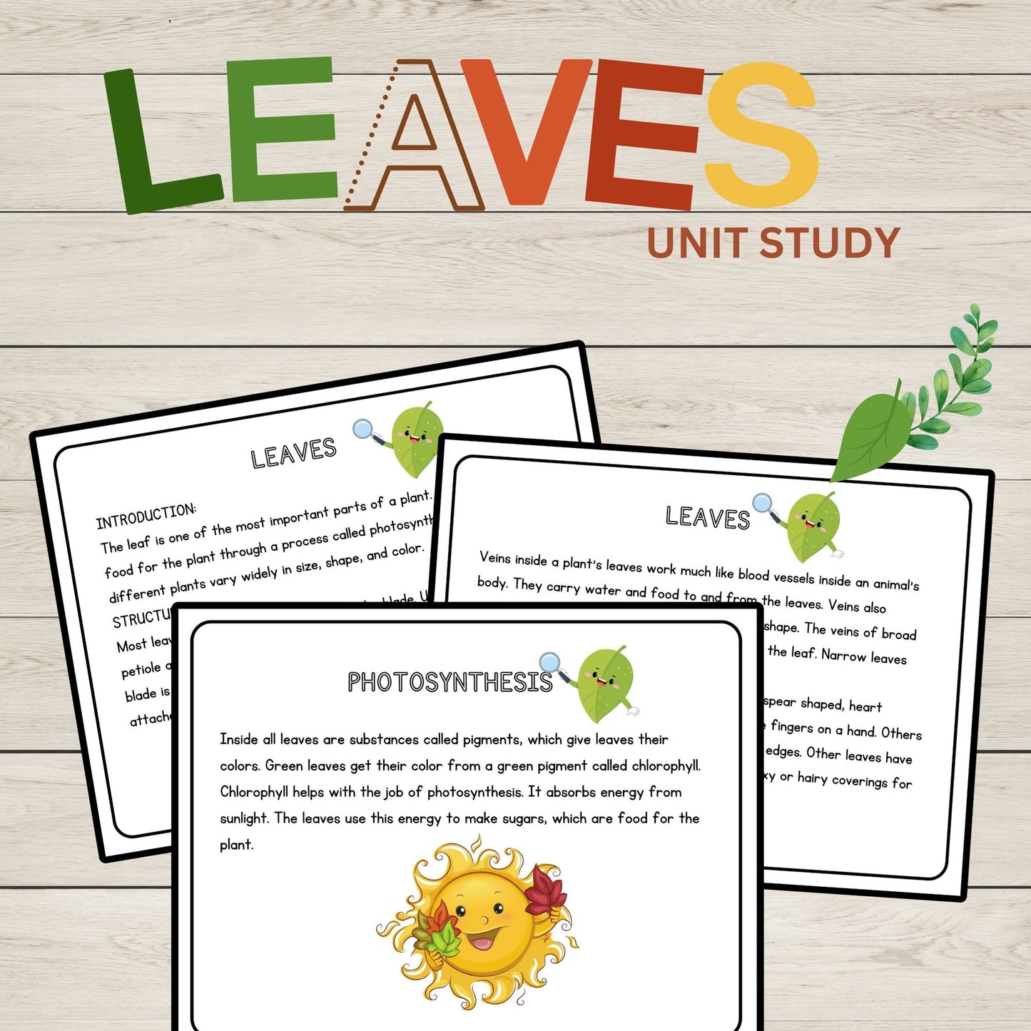 Leaves Unit Study Bundle Anatomy of a Leaf Charlotte Mason Nature Study Learning Activities for Preschool Fall Leaves Educational Materials