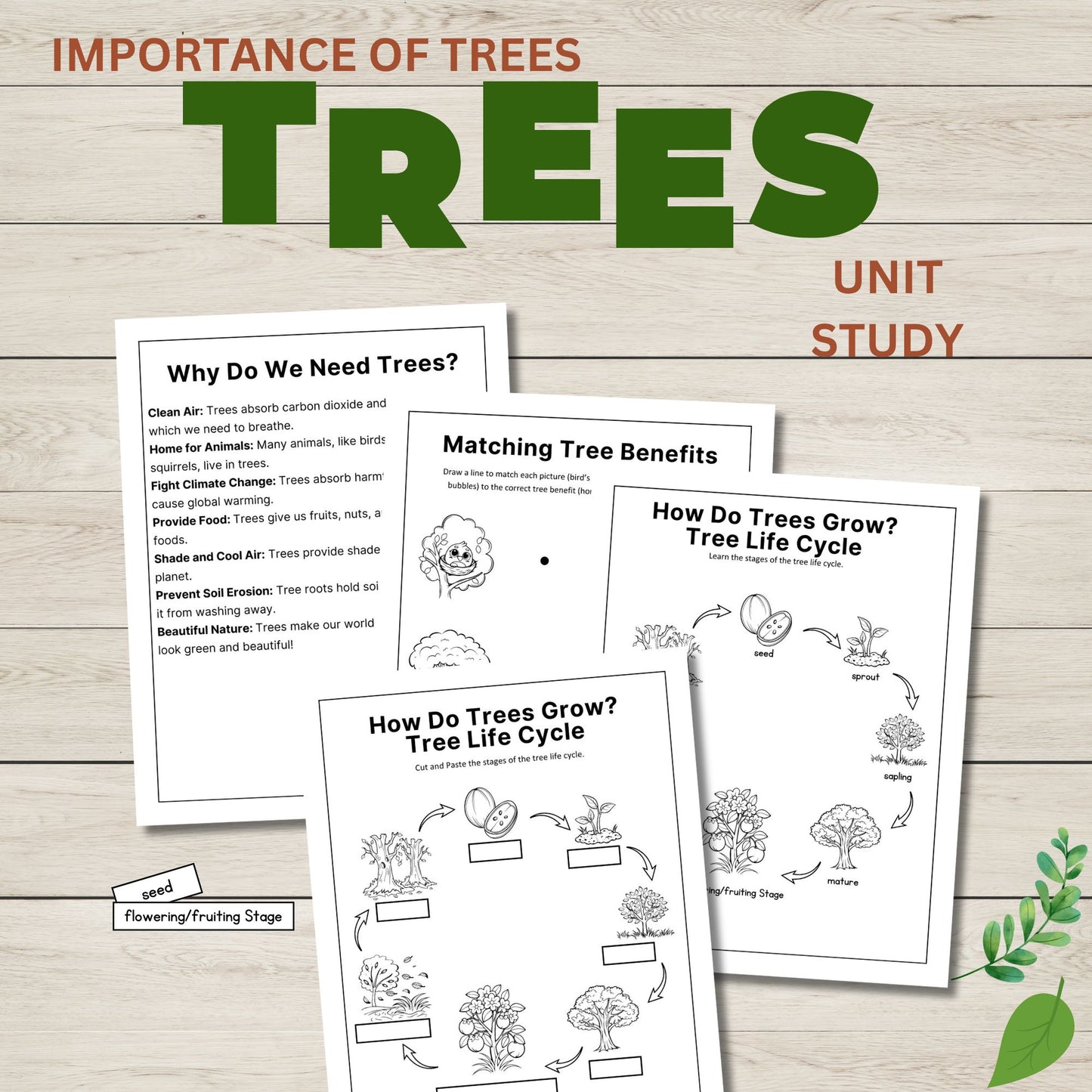Tree Unit Study for Kids | Printable Tree Life Cycle Worksheets, Writing Prompts and Nature Science Activities