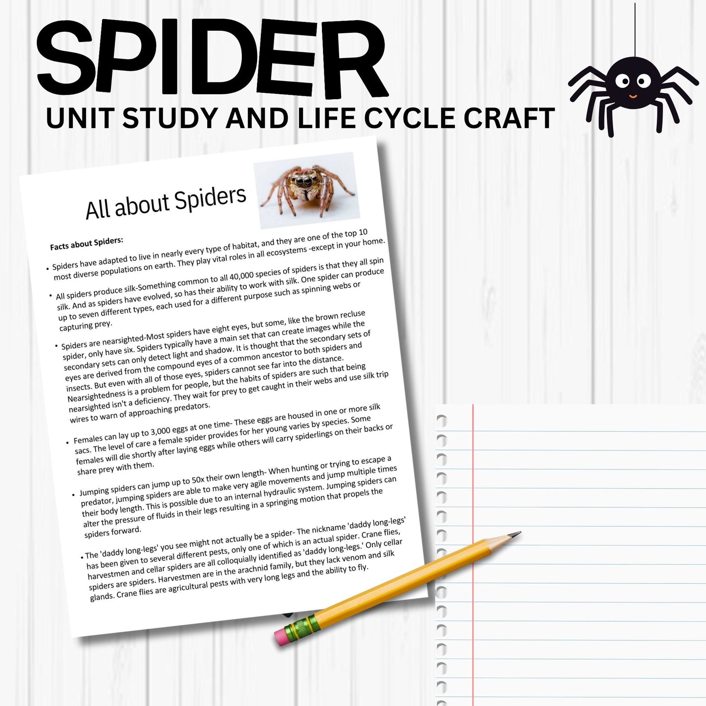 Printable Spider Unit Study for Kids – Life Cycle Worksheets, Craft, and Halloween Homeschool Science Activity