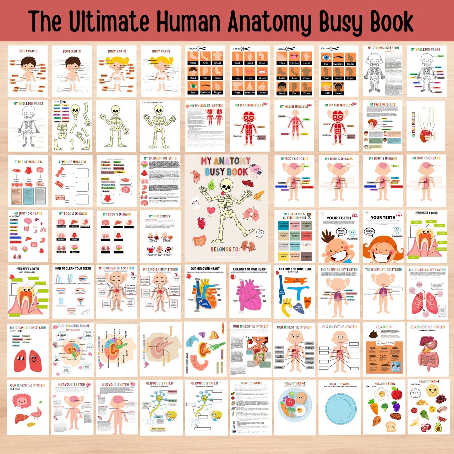 Human Anatomy Busy Book Printable Kids Learning Binder Homeschool Resources Kids Worksheets Anatomy Curriculum Learning Kids Montessori