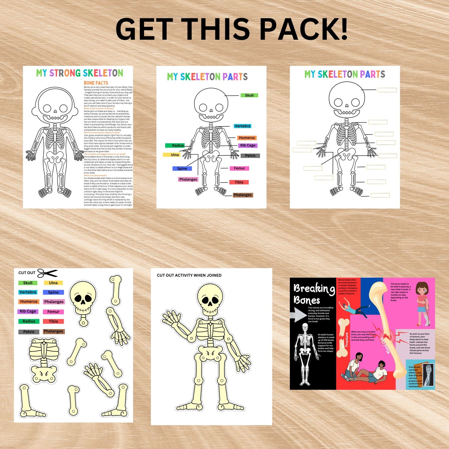 Human Skeleton Anatomy Busy Book Skeleton Study Printable Kids Learning Activity Moving Skeleton Parts Worksheet Homeschool Resource Kids