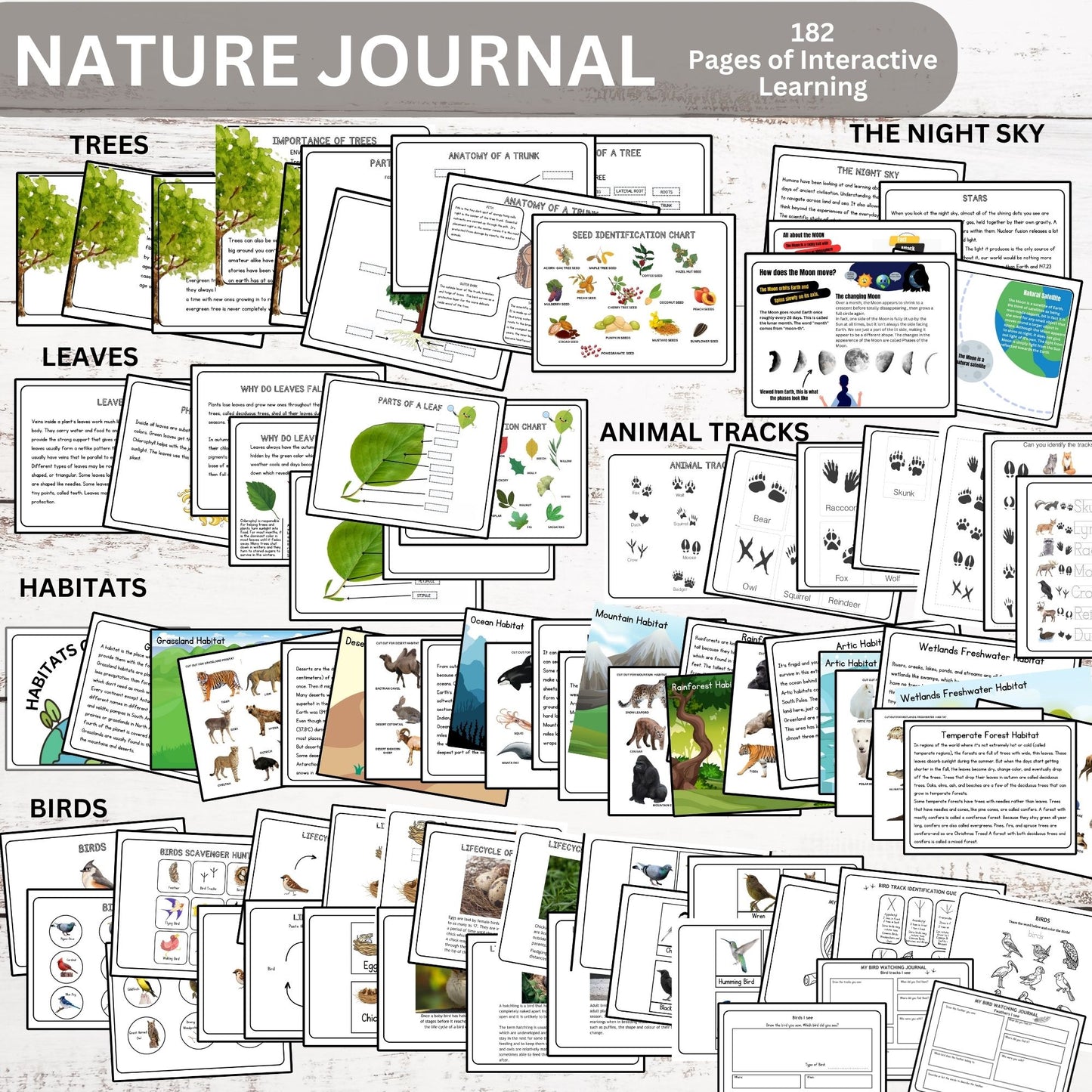 Nature Journal Mega Bundle Homeschool Learning Materials Charlotte Mason Nature Study Preschool Curriculum Toddler Busy Book Montessori