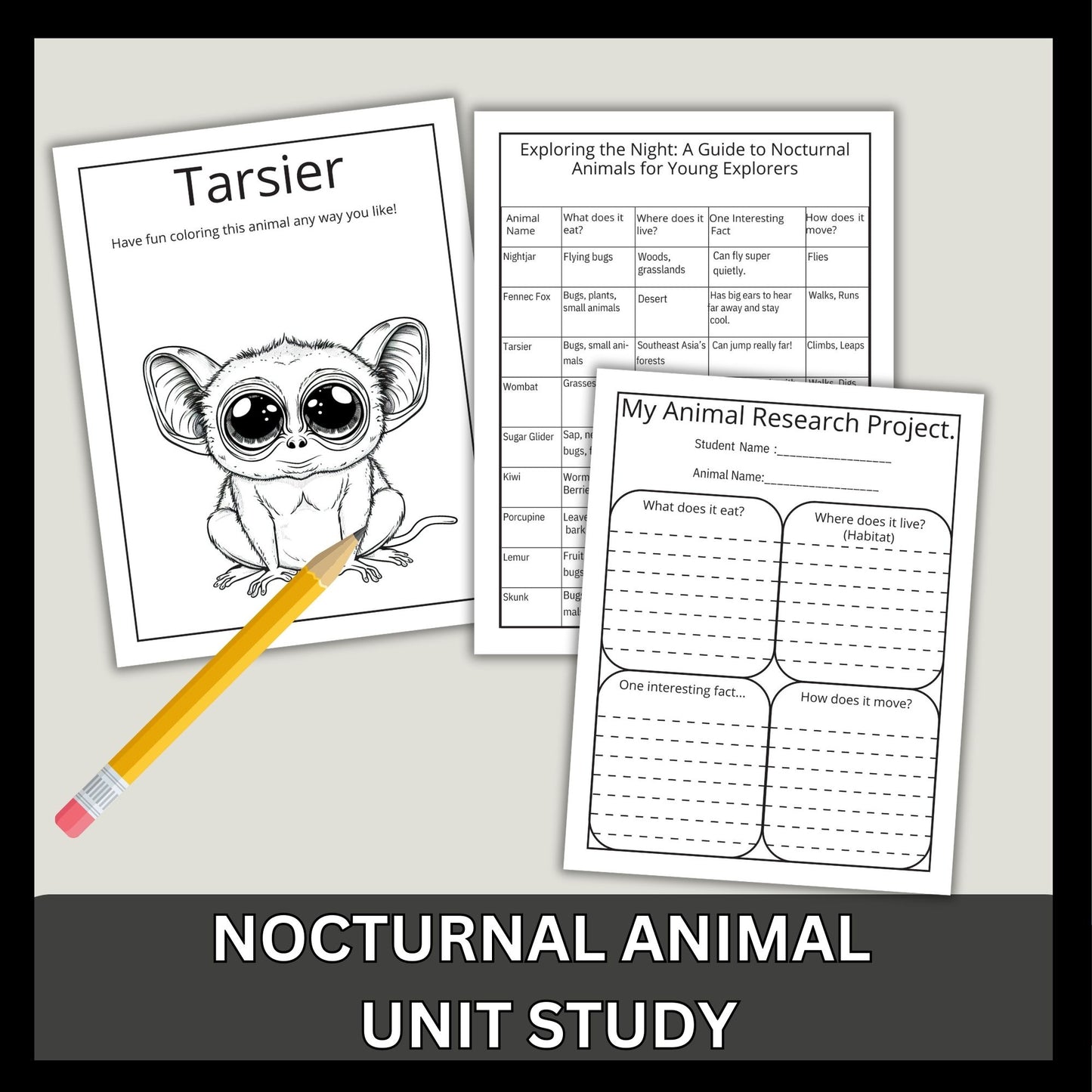 Nocturnal Animals Unit Study Printable Bundle Early Reader Animal Research Montessori Nature Study Animals Coloring 1st Grade 2nd Grade