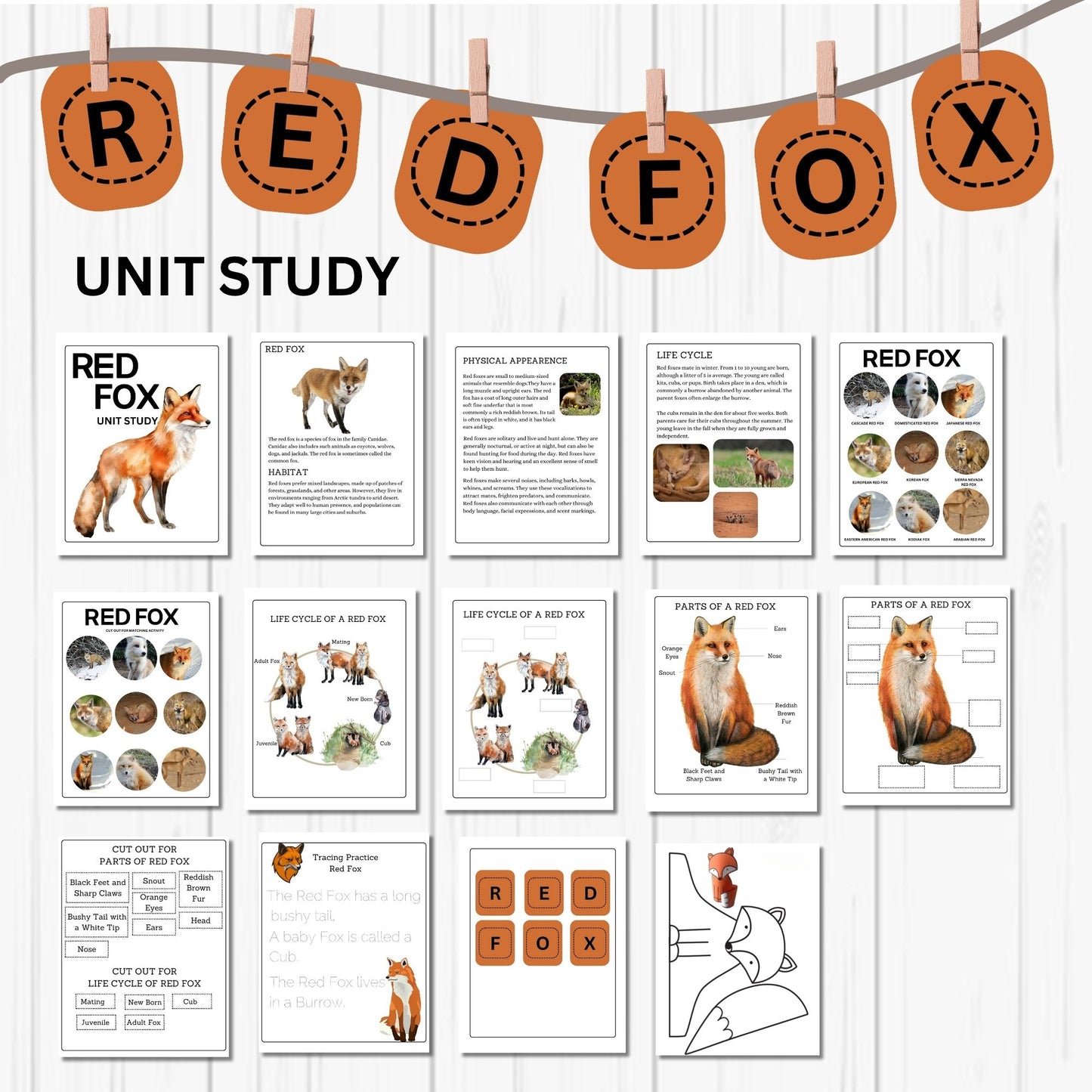4-in-1 Animal Unit Study Bundle | Badger, Turkey, Duck & Red Fox Science Activities | Homeschool Nature Study Printables for Kids