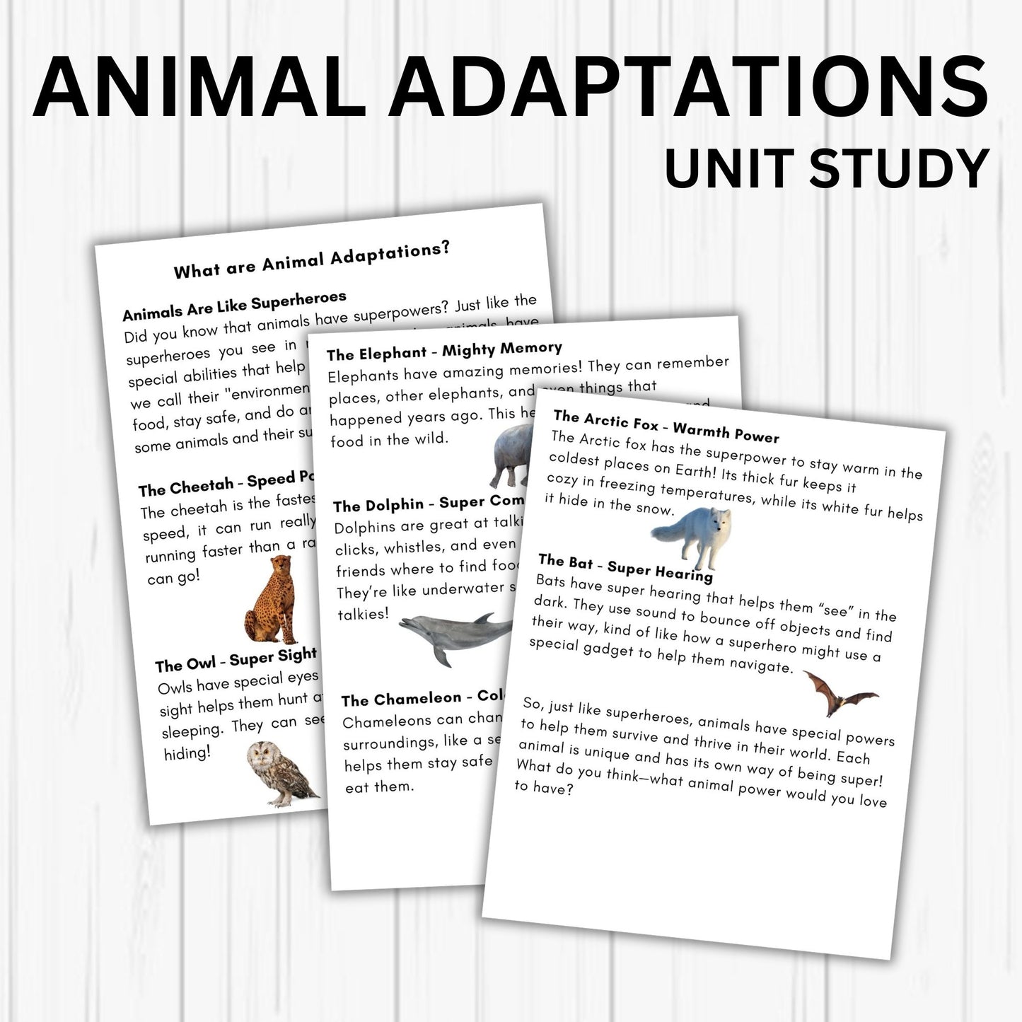 Animal Adaptation Unit Study - Printable Homeschool Learning Bundle | Nature Study Curriculum for Preschool & Early Learners | Science Educational Activities