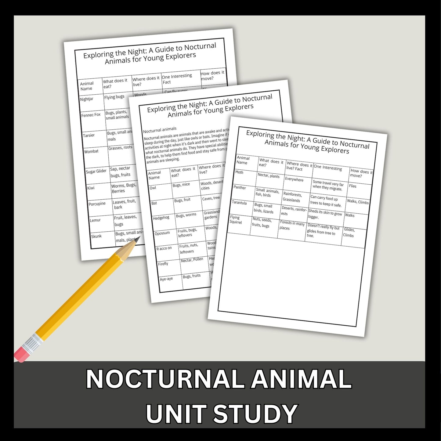 Nocturnal Animals Unit Study Printable Bundle Early Reader Animal Research Montessori Nature Study Animals Coloring 1st Grade 2nd Grade