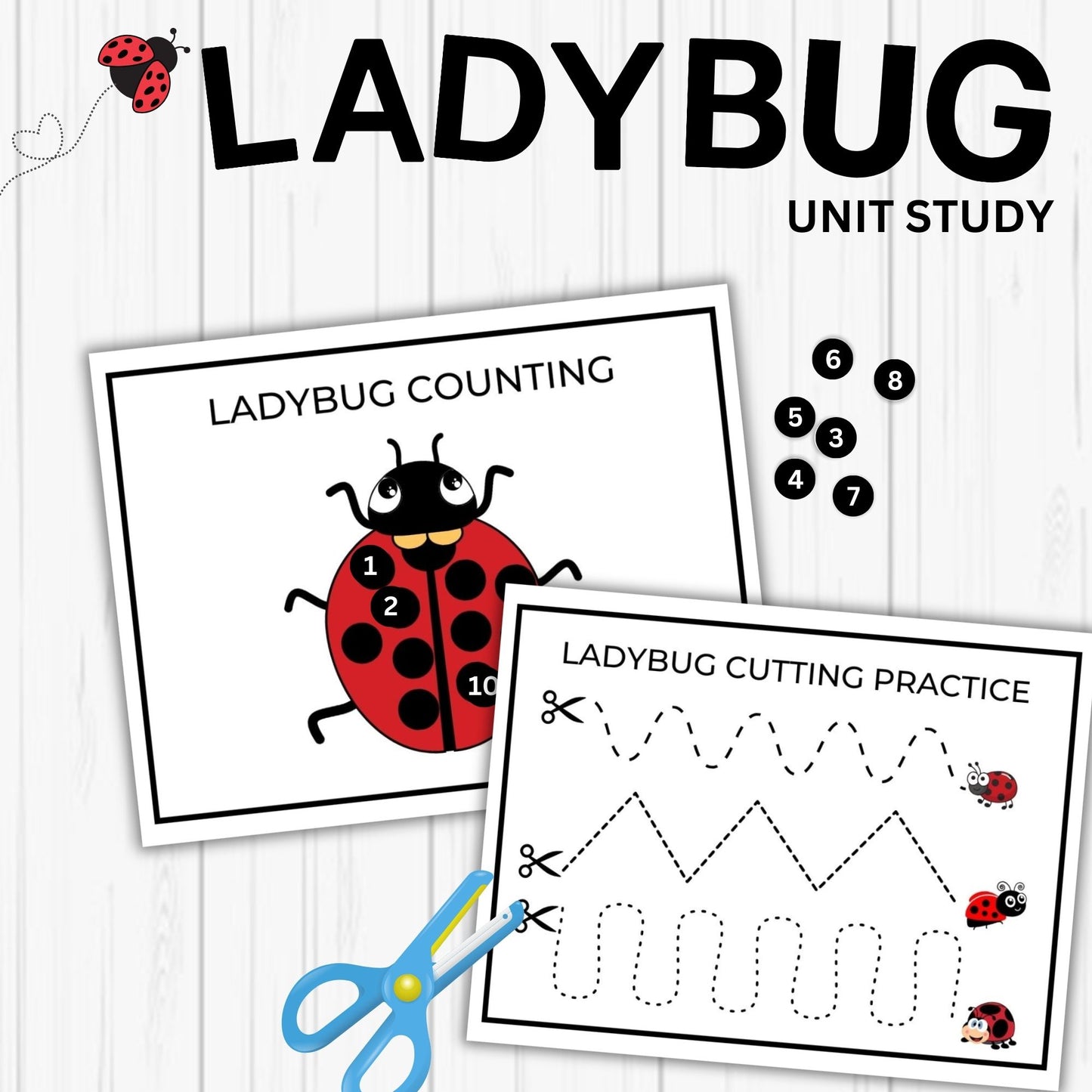 Ladybug Unit Study Homeschool Spring Printables Charlotte Mason kids Nature Study Anatomy of a Ladybug Life Cycle Ladybird Study Pack