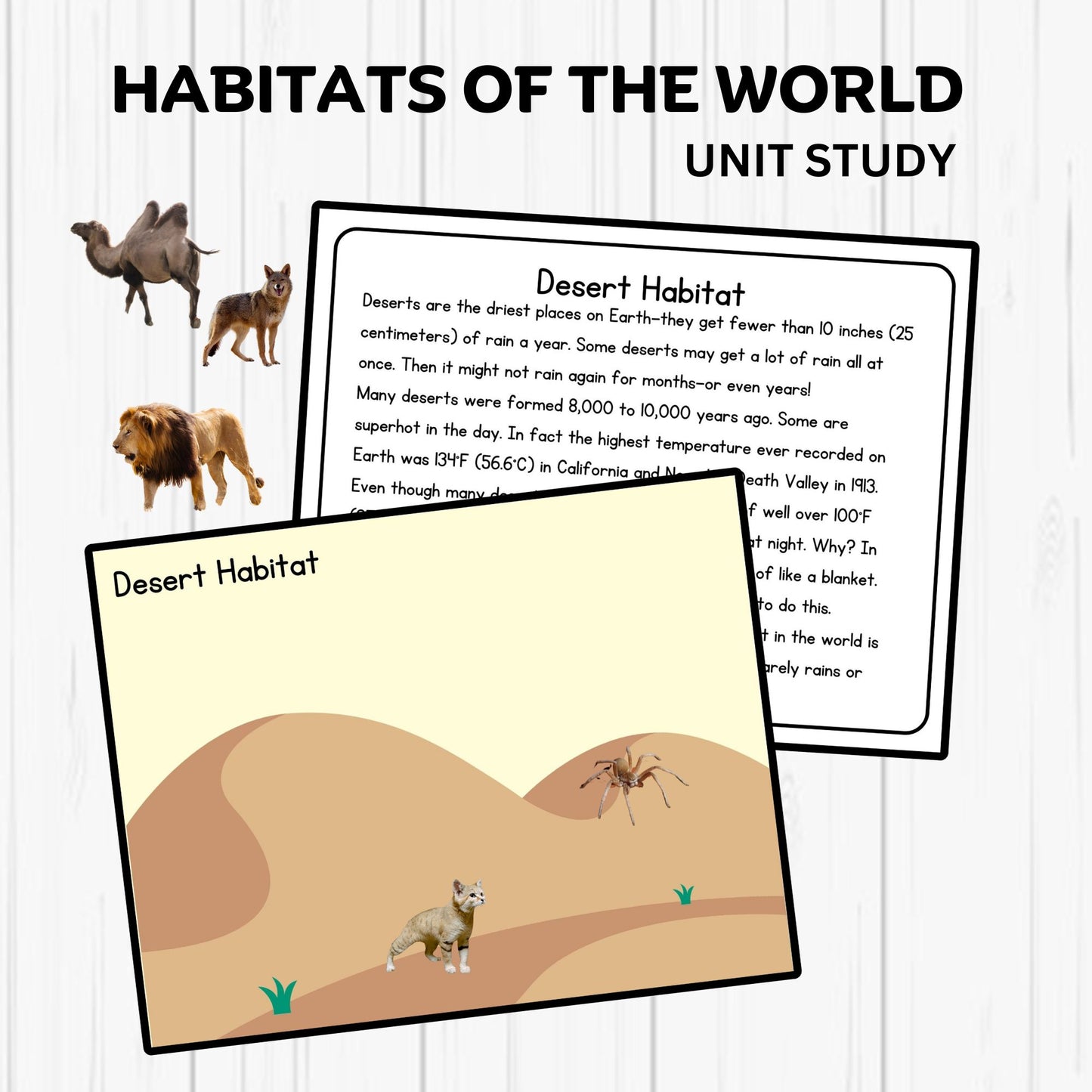 Habitats Unit Study Printable Resources Homeschool Learning Bundle Nature Studies Preschool Curriculum Educational Activities Science Unit