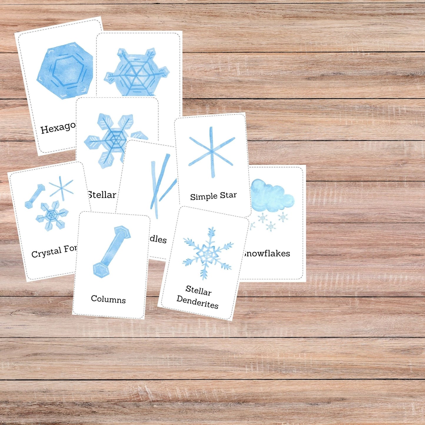 Snow Unit Study Snowflakes Printable Resources Homeschool Learning Bundle Winter Kids Activity Life Cycle of Snow Preschool Curriculum kids