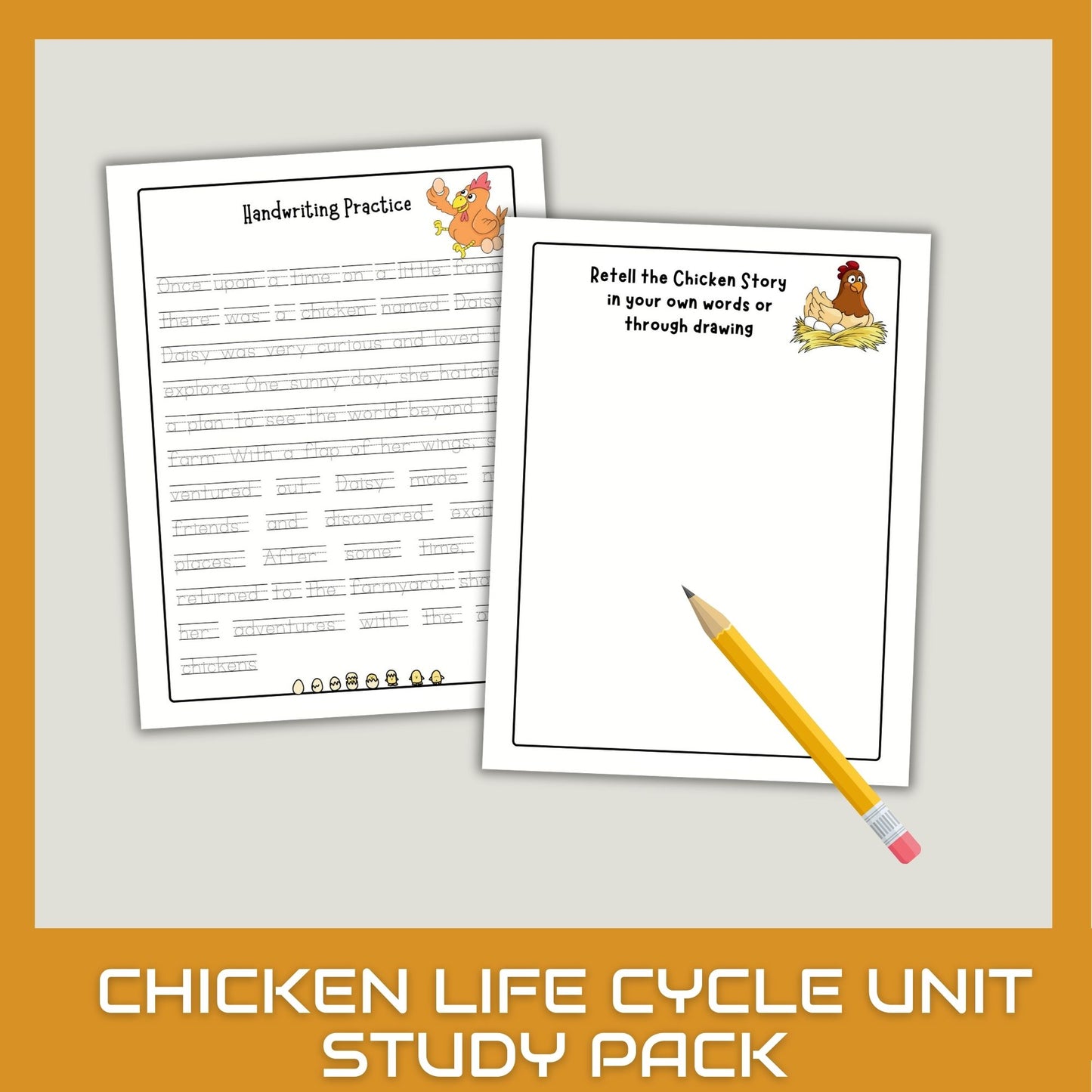Chicken Unit Study for Homeschool – Life Cycle, Anatomy & Chick Activities | Nature Science Summer Learning Bundle