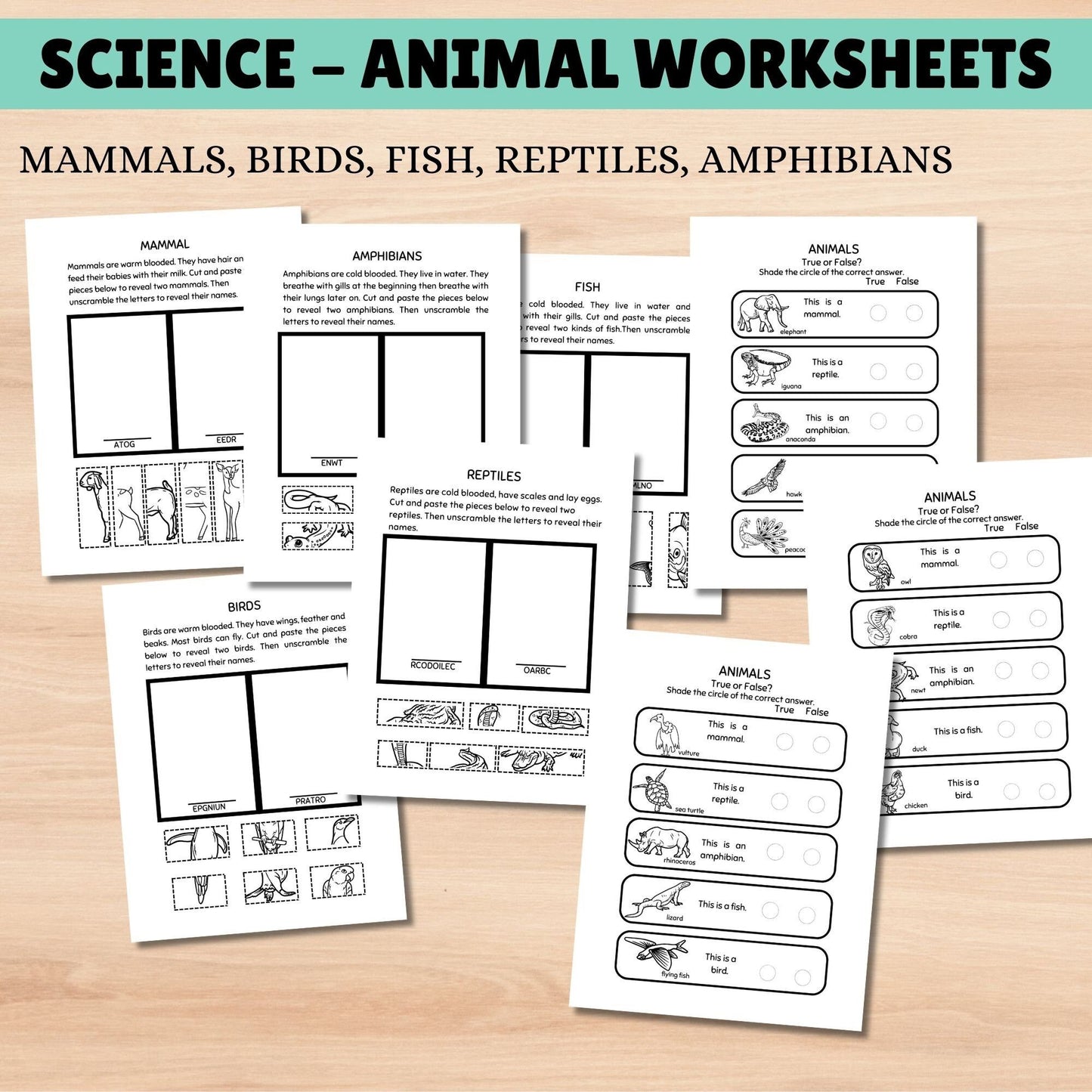 Science Curriculum for Kids | Animals Busy Book | Homeschool Learning Binder | Interactive Science Unit for Grade 1 & 2 | Homeschool Resources
