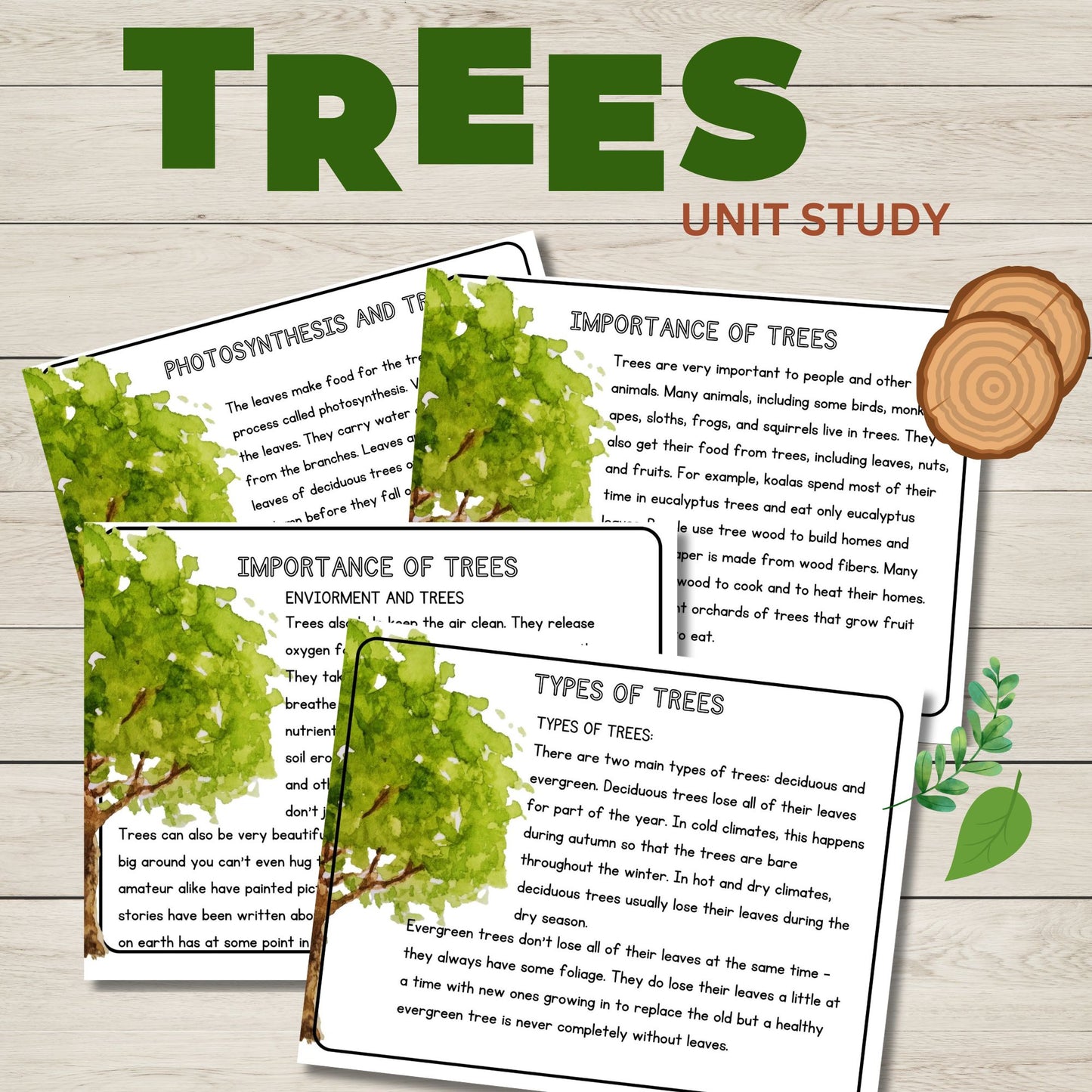 Tree Unit Study Bundle | Charlotte Mason Nature Study | Anatomy of a Tree Trunk & Parts of a Tree | Homeschool Learning Activities Printable