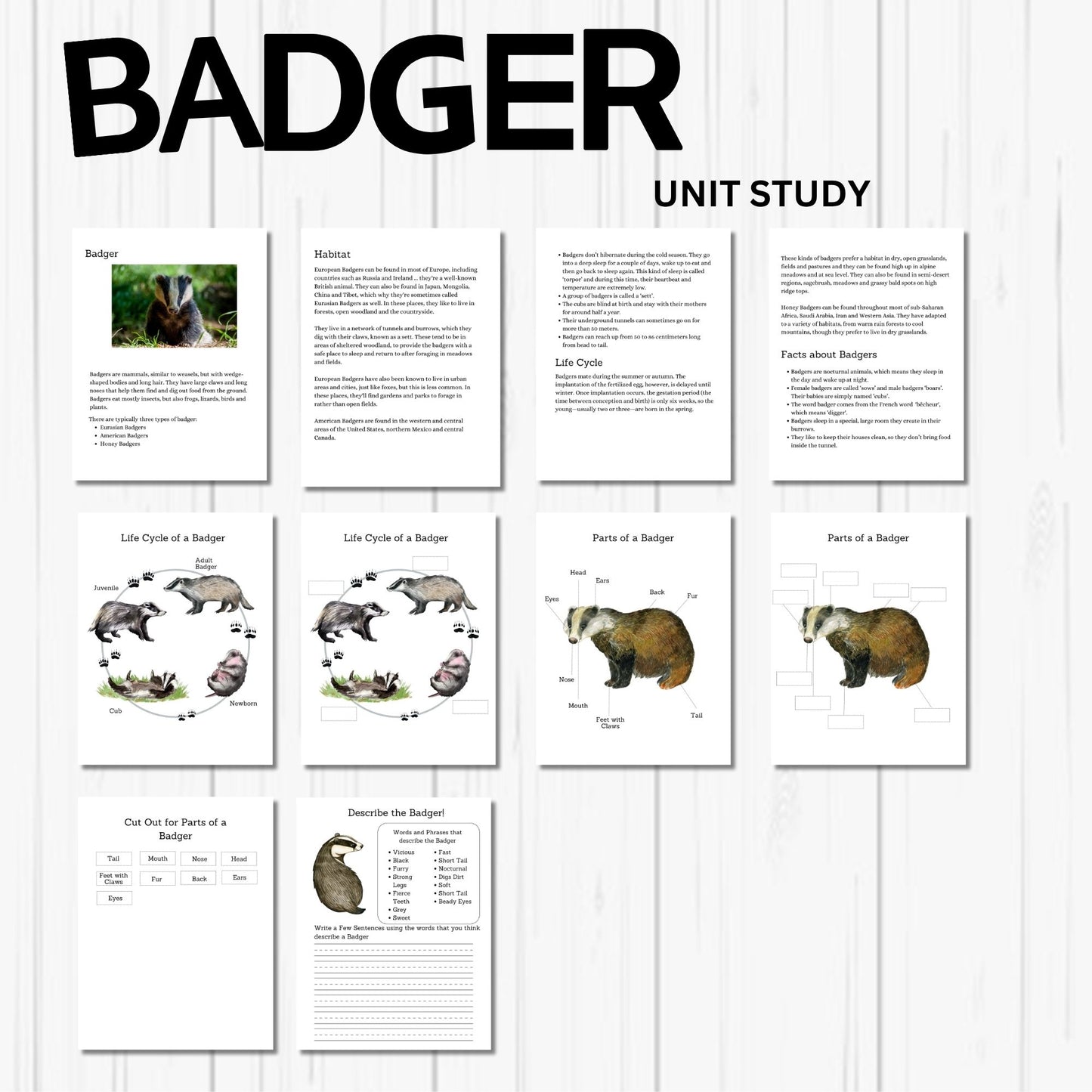 4-in-1 Animal Unit Study Bundle | Badger, Turkey, Duck & Red Fox Science Activities | Homeschool Nature Study Printables for Kids