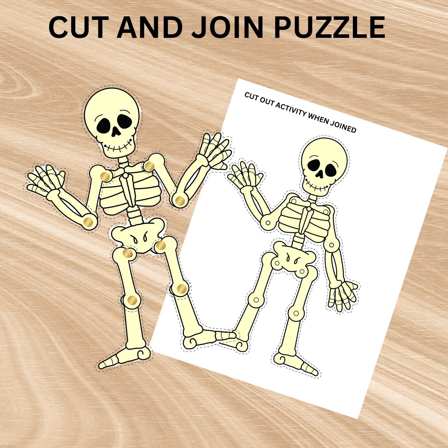 Human Skeleton Anatomy Busy Book Skeleton Study Printable Kids Learning Activity Moving Skeleton Parts Worksheet Homeschool Resource Kids