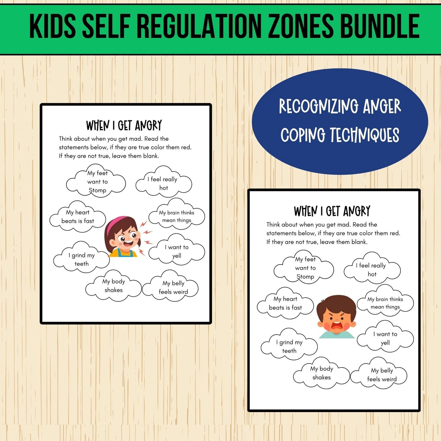 Self-Regulation Zones BUNDLE Calming Corner Tools Emotional Regulation Flashcards Autism Support ASD Tools ADHD School Counselor Therapist
