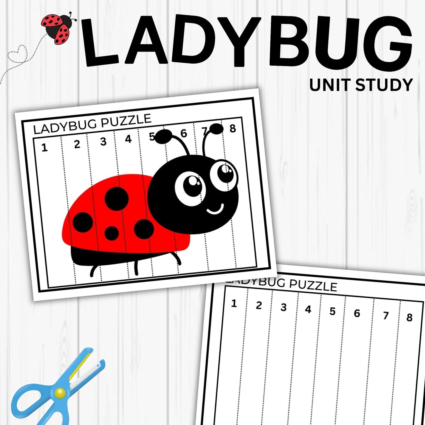 Ladybug Unit Study Homeschool Spring Printables Charlotte Mason kids Nature Study Anatomy of a Ladybug Life Cycle Ladybird Study Pack
