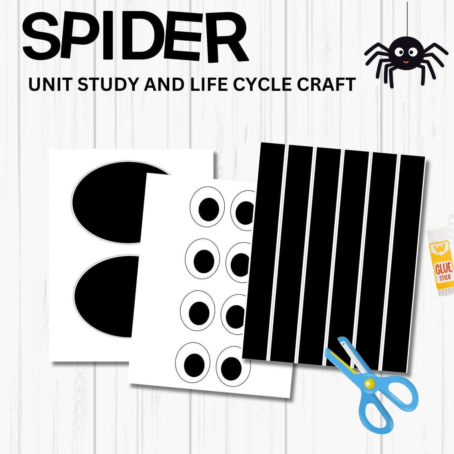 Printable Spider Unit Study for Kids – Life Cycle Worksheets, Craft, and Halloween Homeschool Science Activity