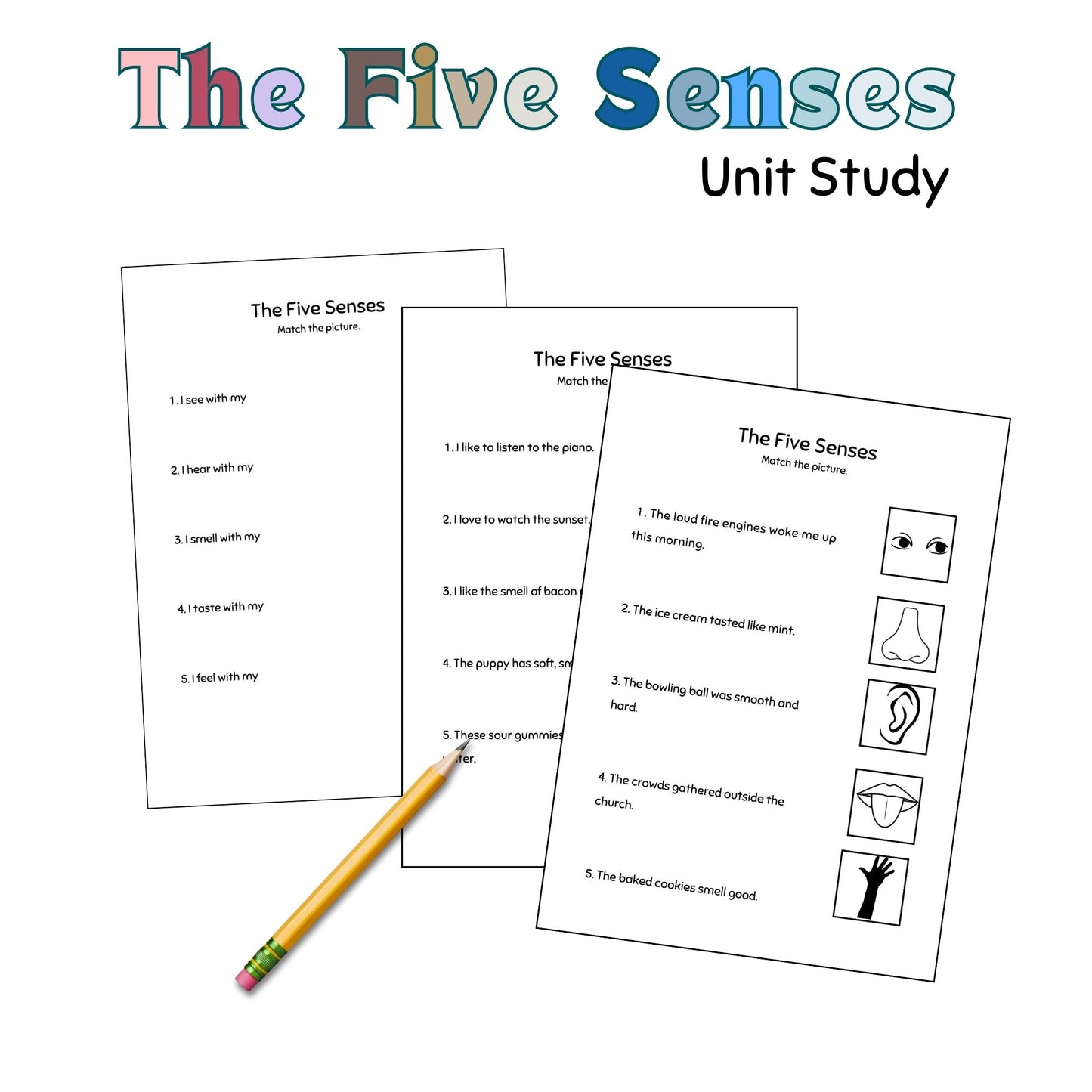 Five Senses Science Unit Study for Preschool – Interactive Homeschool Unit Study Binder and Learning Resources for Kids