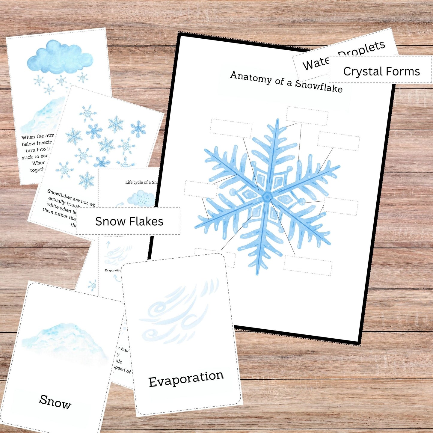 Snow Unit Study Snowflakes Printable Resources Homeschool Learning Bundle Winter Kids Activity Life Cycle of Snow Preschool Curriculum kids
