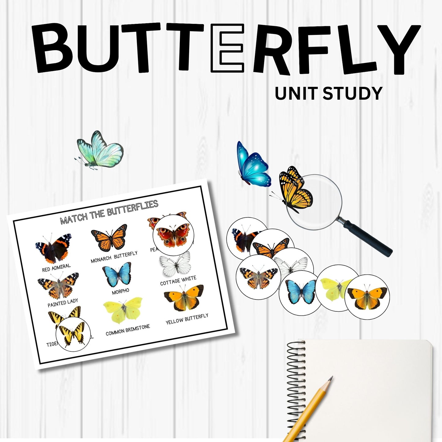 Butterfly Unit Study Bundle Charlotte Mason Nature Study Homeschool Learning Materials Educational Prints Butterfly Preschool Busy Binder