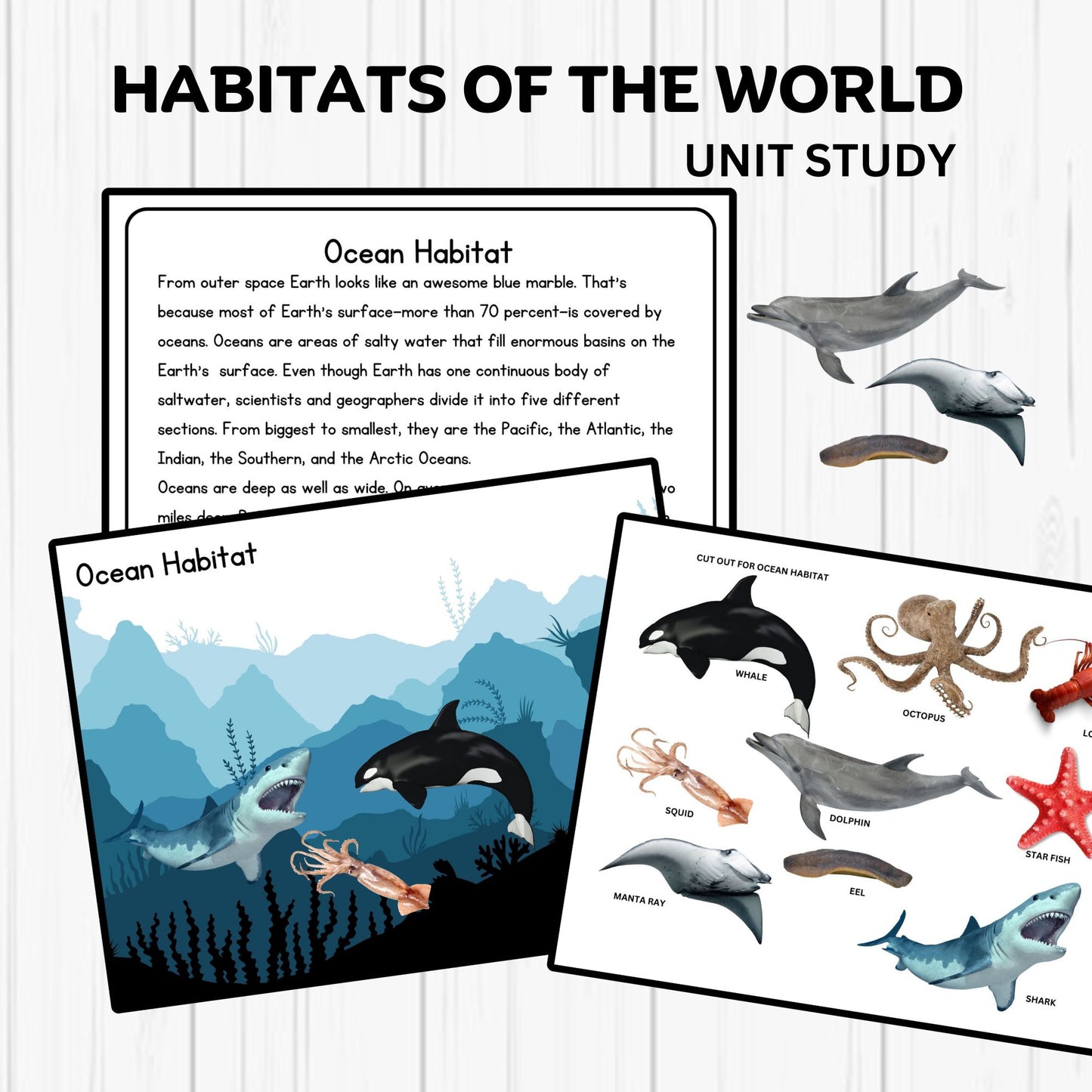 Habitats Unit Study Printable Resources Homeschool Learning Bundle Nature Studies Preschool Curriculum Educational Activities Science Unit