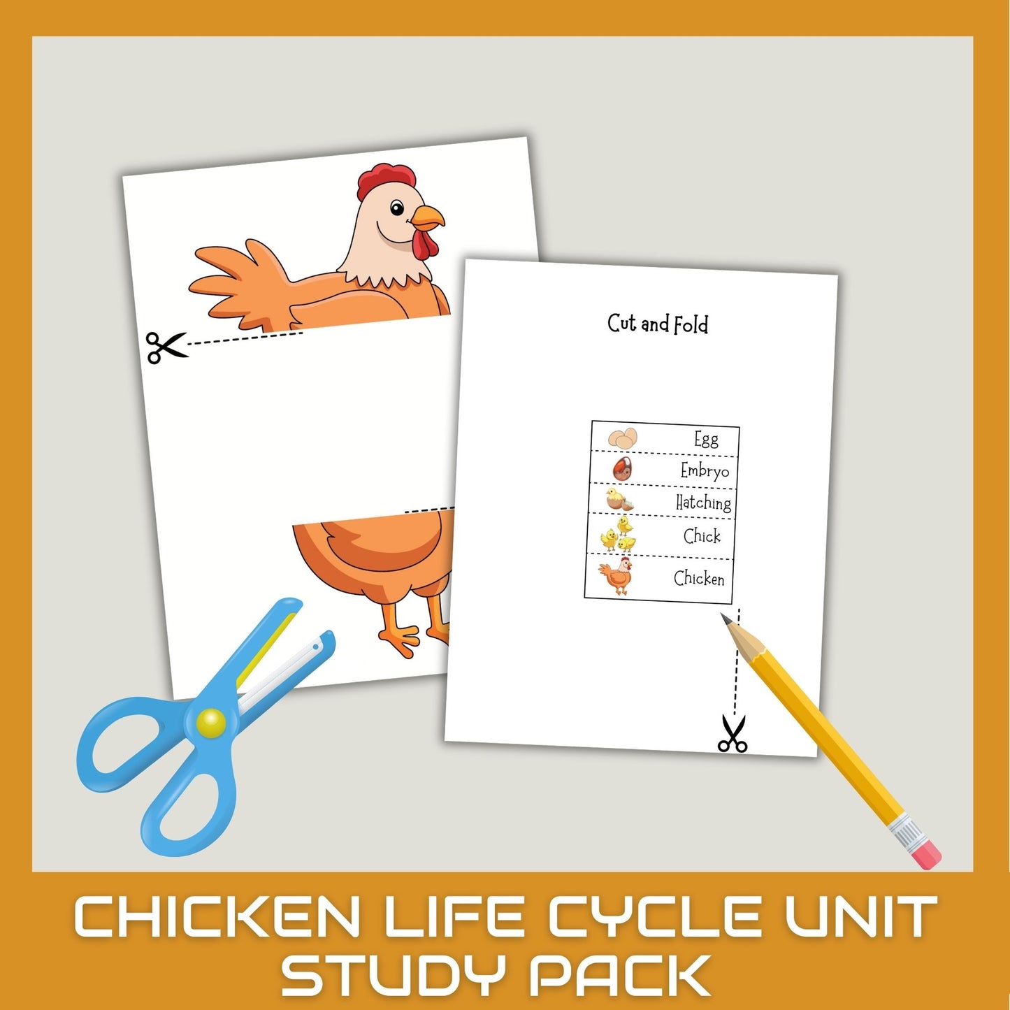 Chicken Unit Study for Homeschool – Life Cycle, Anatomy & Chick Activities | Nature Science Summer Learning Bundle
